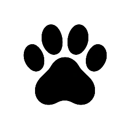 The Complete Dog Care Guide